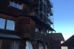 Tschiertschen_Edelweis_IMG_4225
